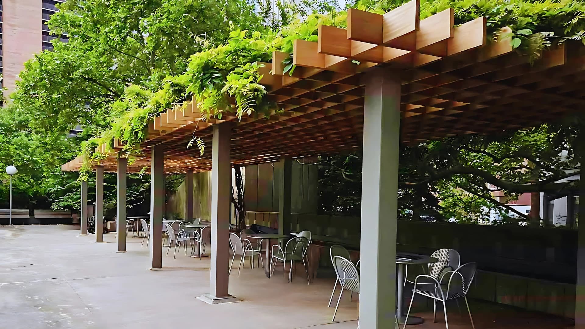 Long pergola walkway draped in greenery over a stone patio